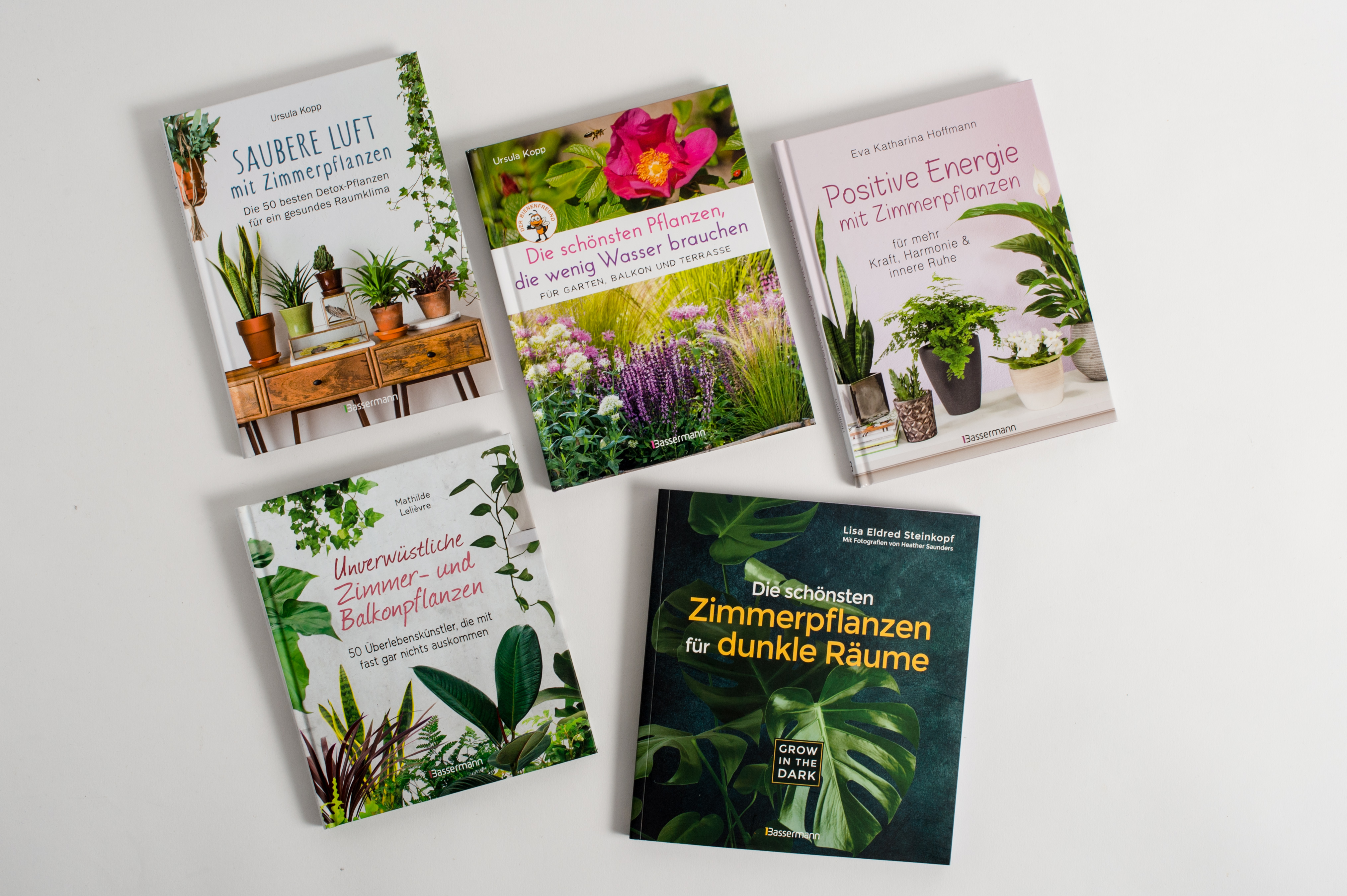 9783809441717_innenansicht_07 9783809441717_innenansicht_07.jpg