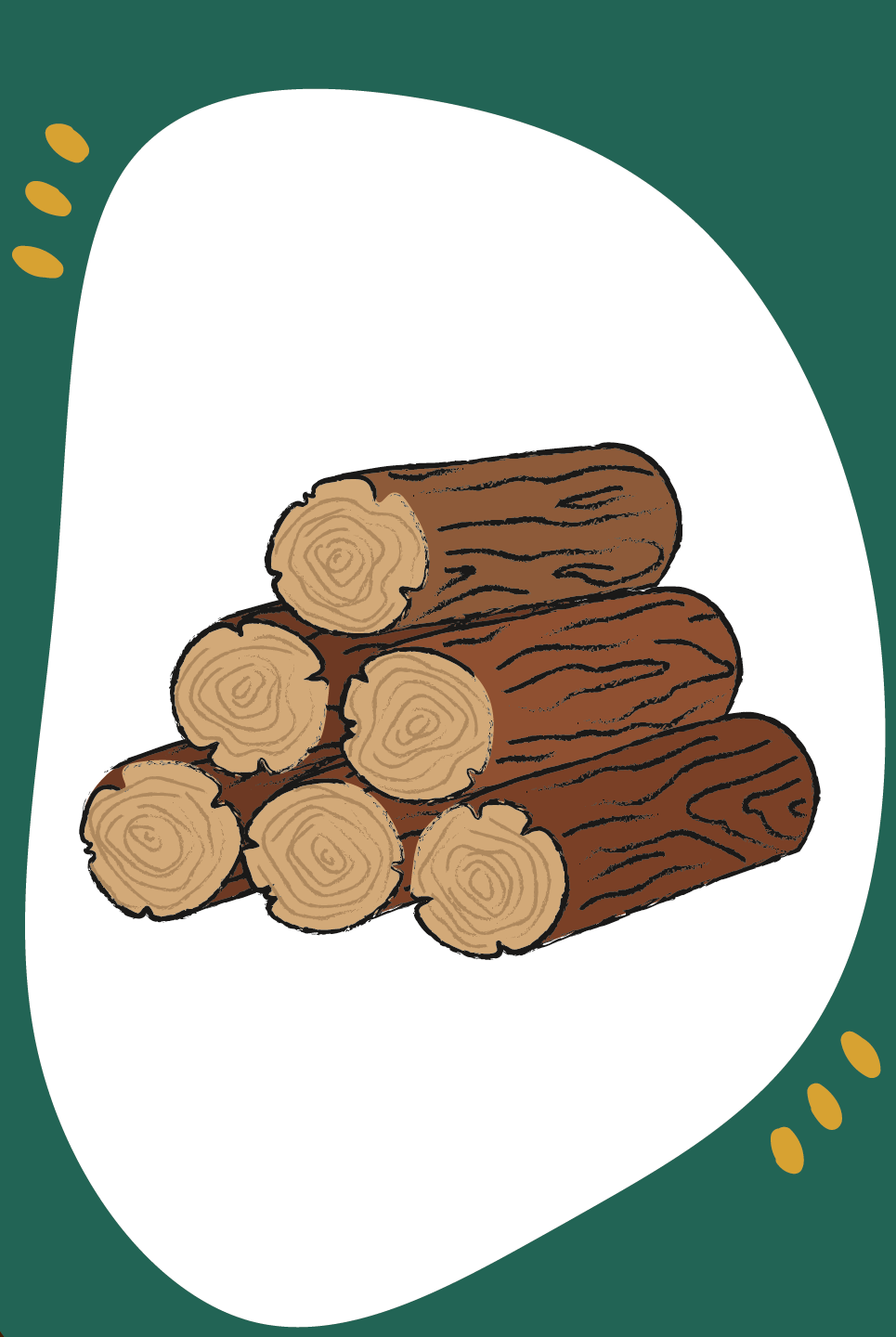 9783960463580_innenansicht_01.png