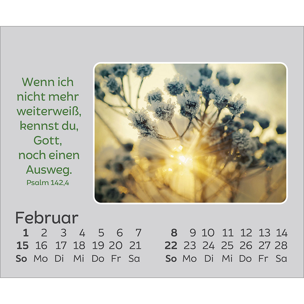 9783754861066_innenansicht_02.jpg