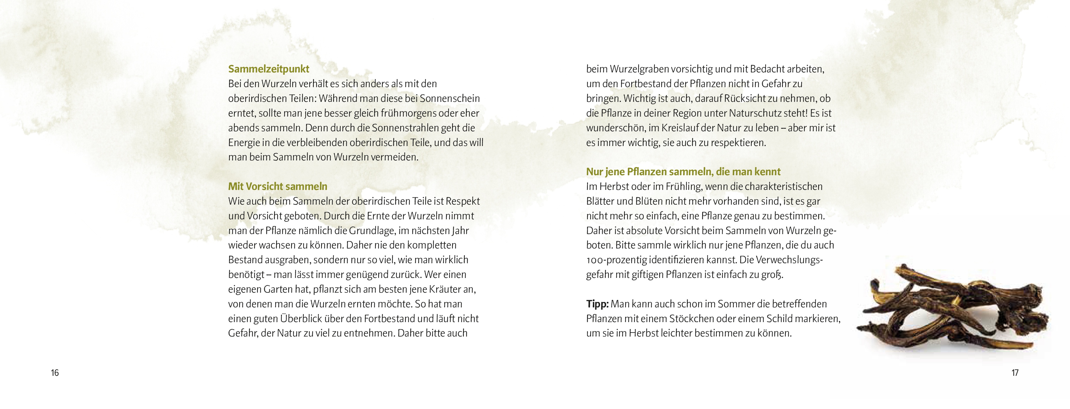 9783702511296_innenansicht_07 9783702511296_innenansicht_07.jpg