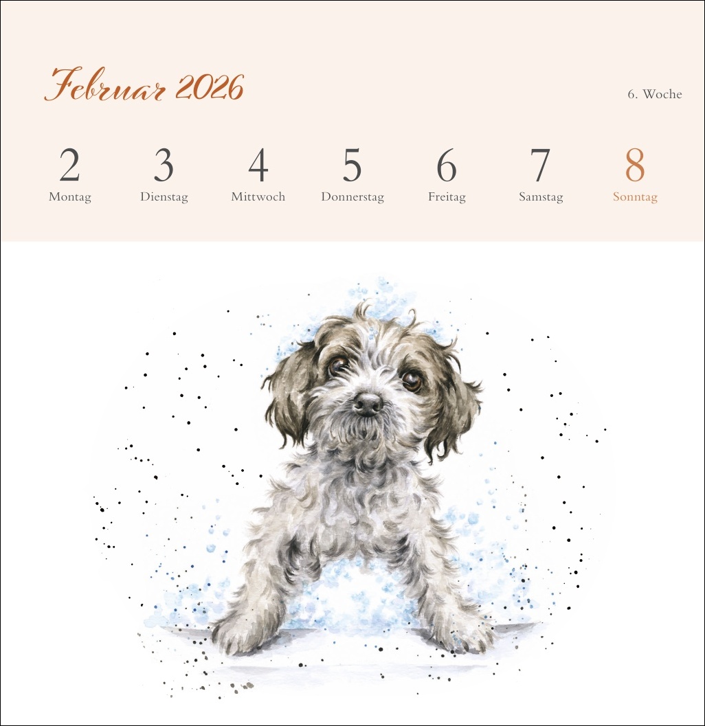 9783756412389_innenansicht_02 9783756412389_innenansicht_02.jpg