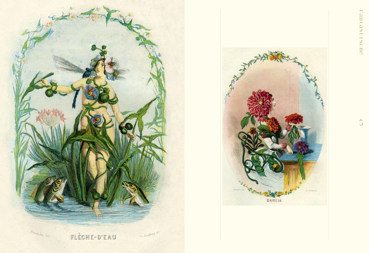 9783775758505_innenansicht_06 9783775758505_innenansicht_06.jpg