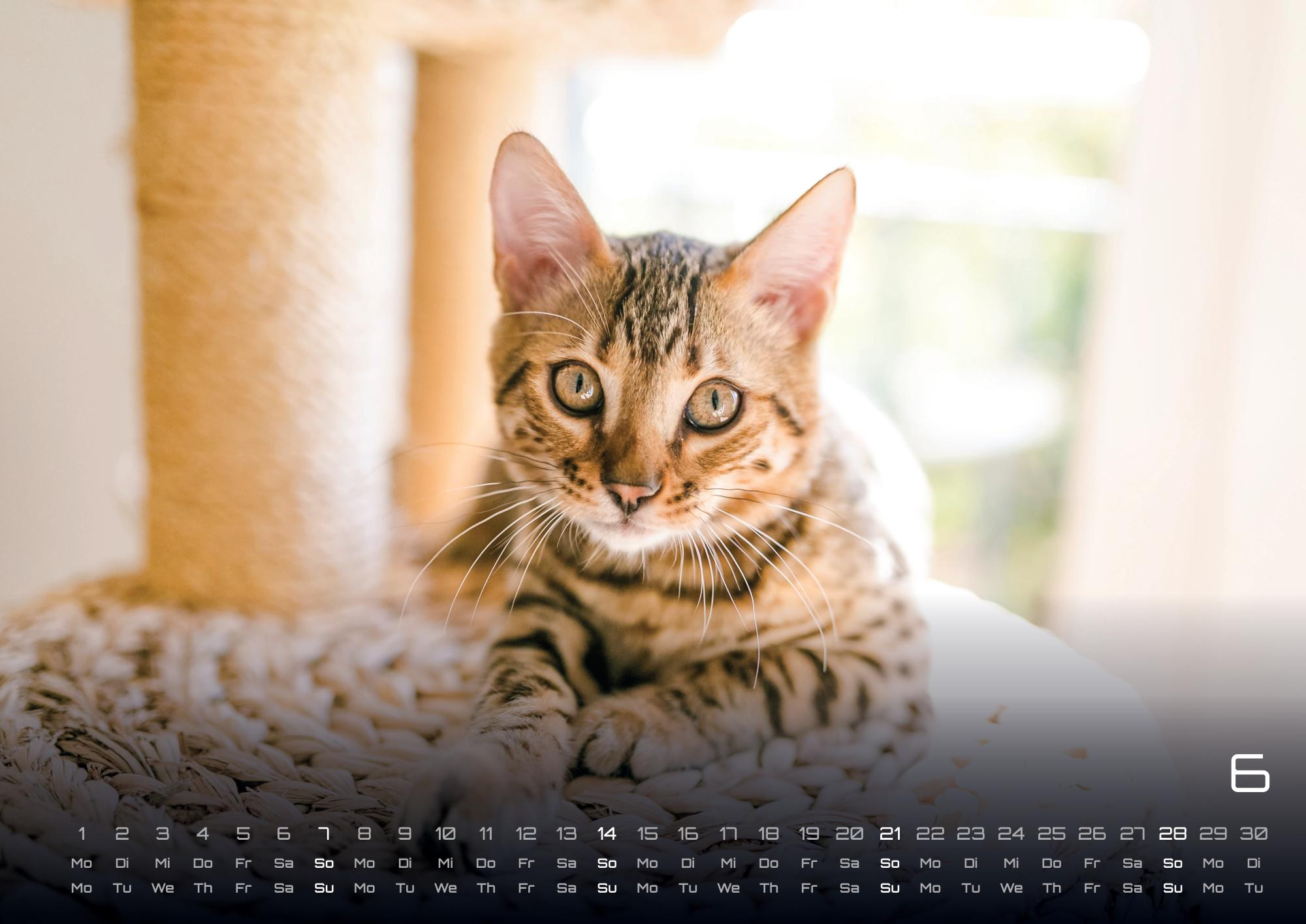 9783986735463_innenansicht_06 9783986735463_innenansicht_06.jpg