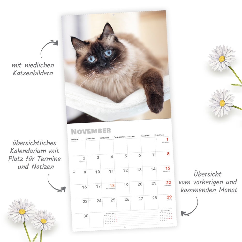 9783988024077_innenansicht_02 9783988024077_innenansicht_02.jpg