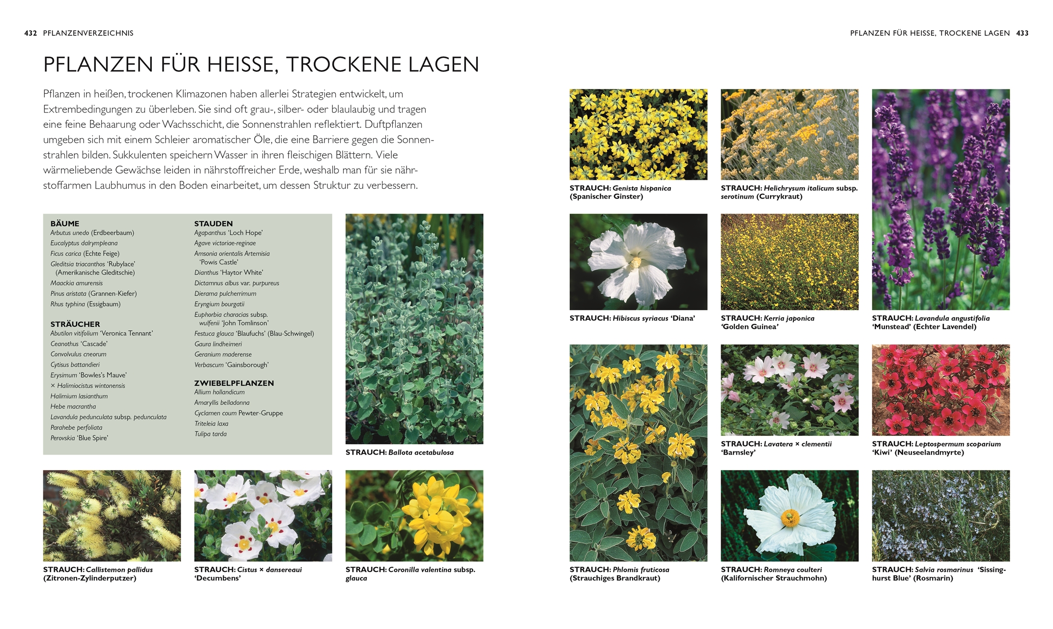 9783831046201_innenansicht_09 9783831046201_innenansicht_09.jpg