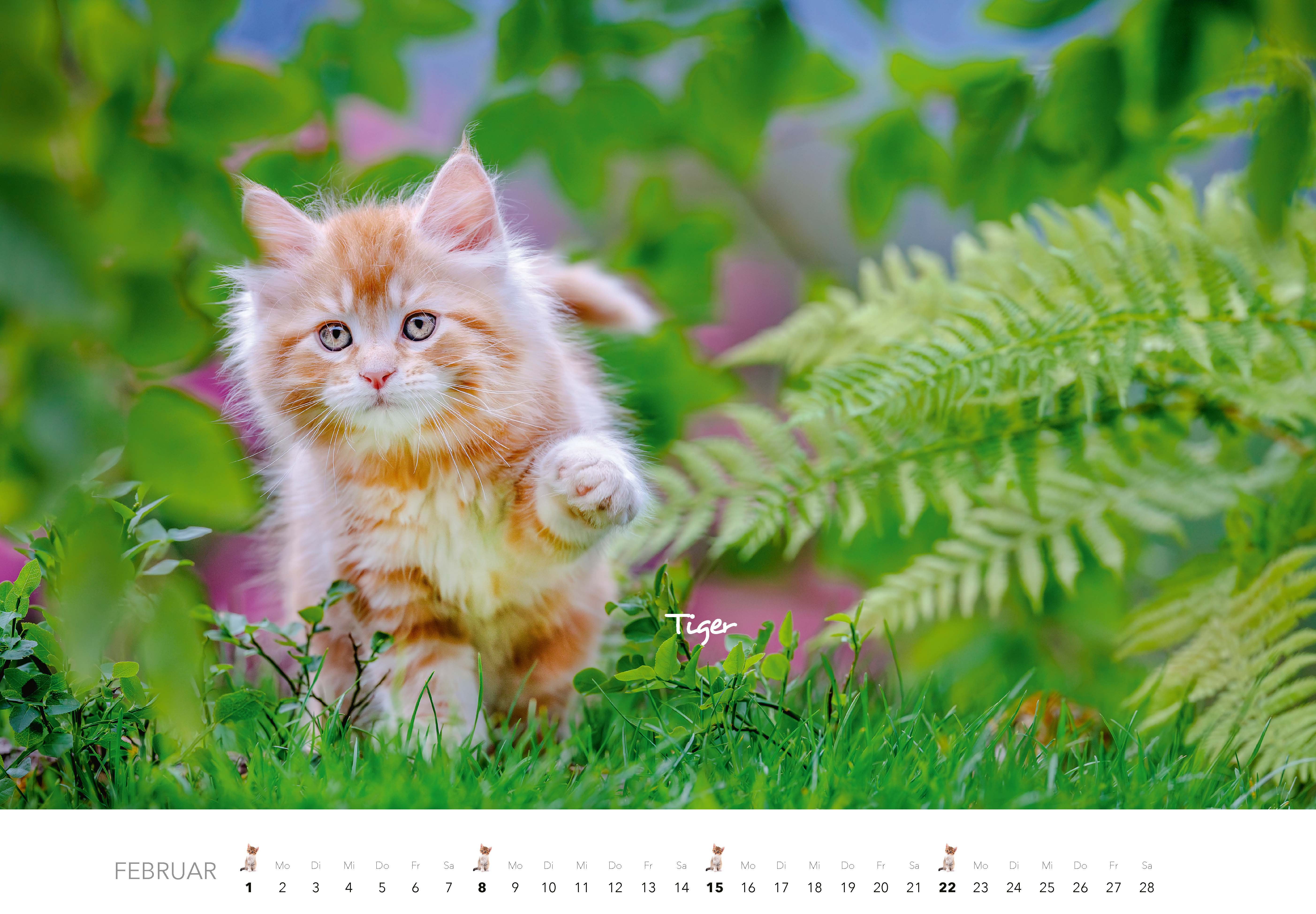 9783966649704_innenansicht_02 9783966649704_innenansicht_02.jpg