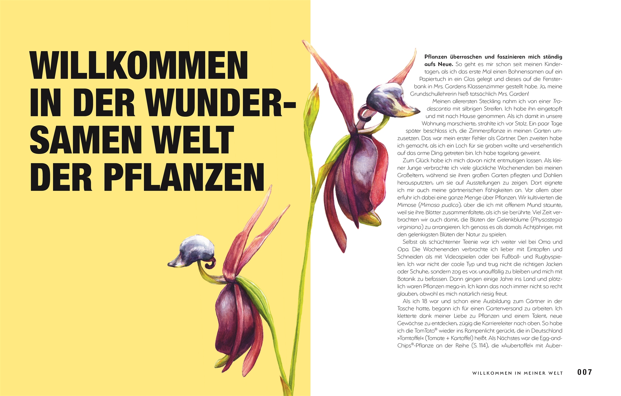 9783831047406_innenansicht_02 9783831047406_innenansicht_02.jpg