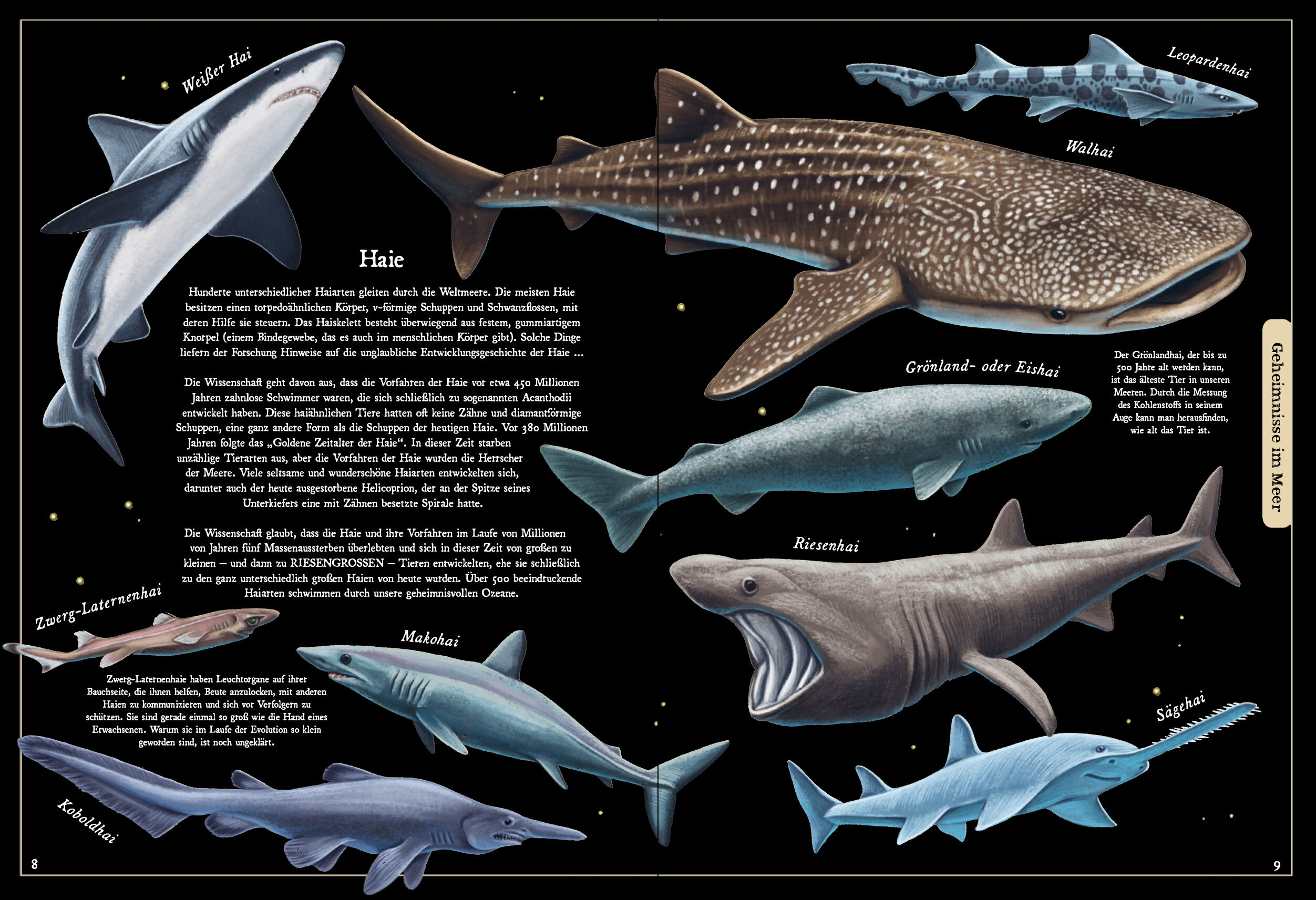 9783791375847_innenansicht_02 9783791375847_innenansicht_02.jpg