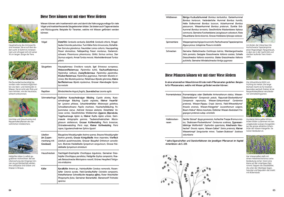 9783258083285_innenansicht_03 9783258083285_innenansicht_03.jpg