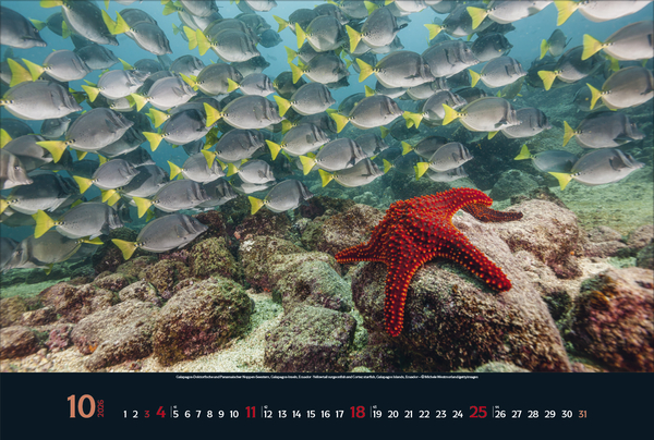 9783731888161_innenansicht_10 9783731888161_innenansicht_10.jpg