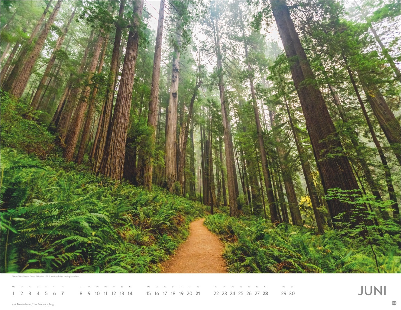 9783756413942_innenansicht_06 9783756413942_innenansicht_06.jpg