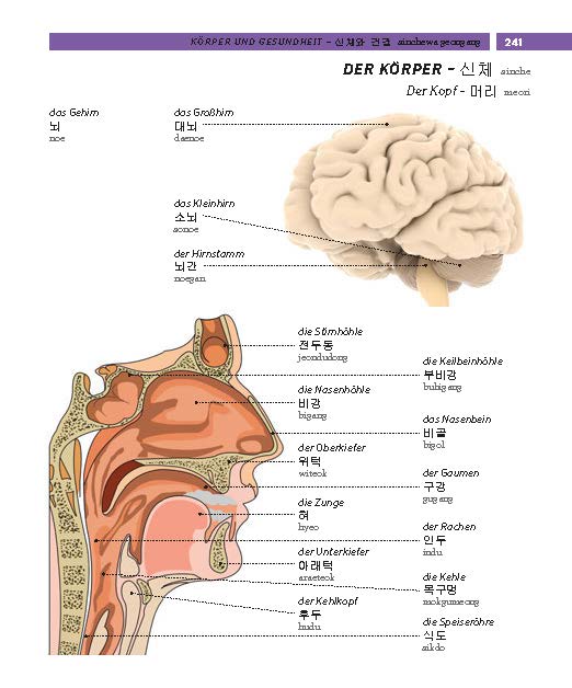 9783125164178_innenansicht_05 9783125164178_innenansicht_05.jpg