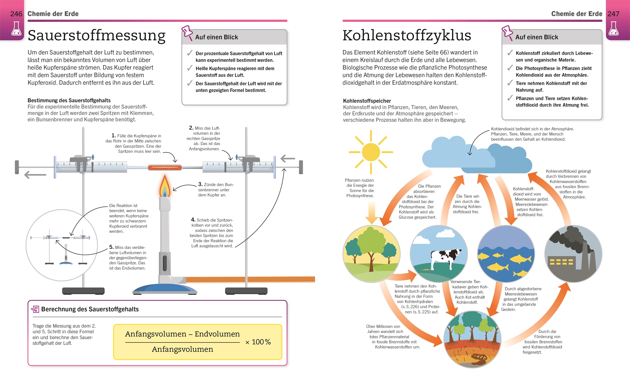 9783831042890_innenansicht_07 9783831042890_innenansicht_07.jpg