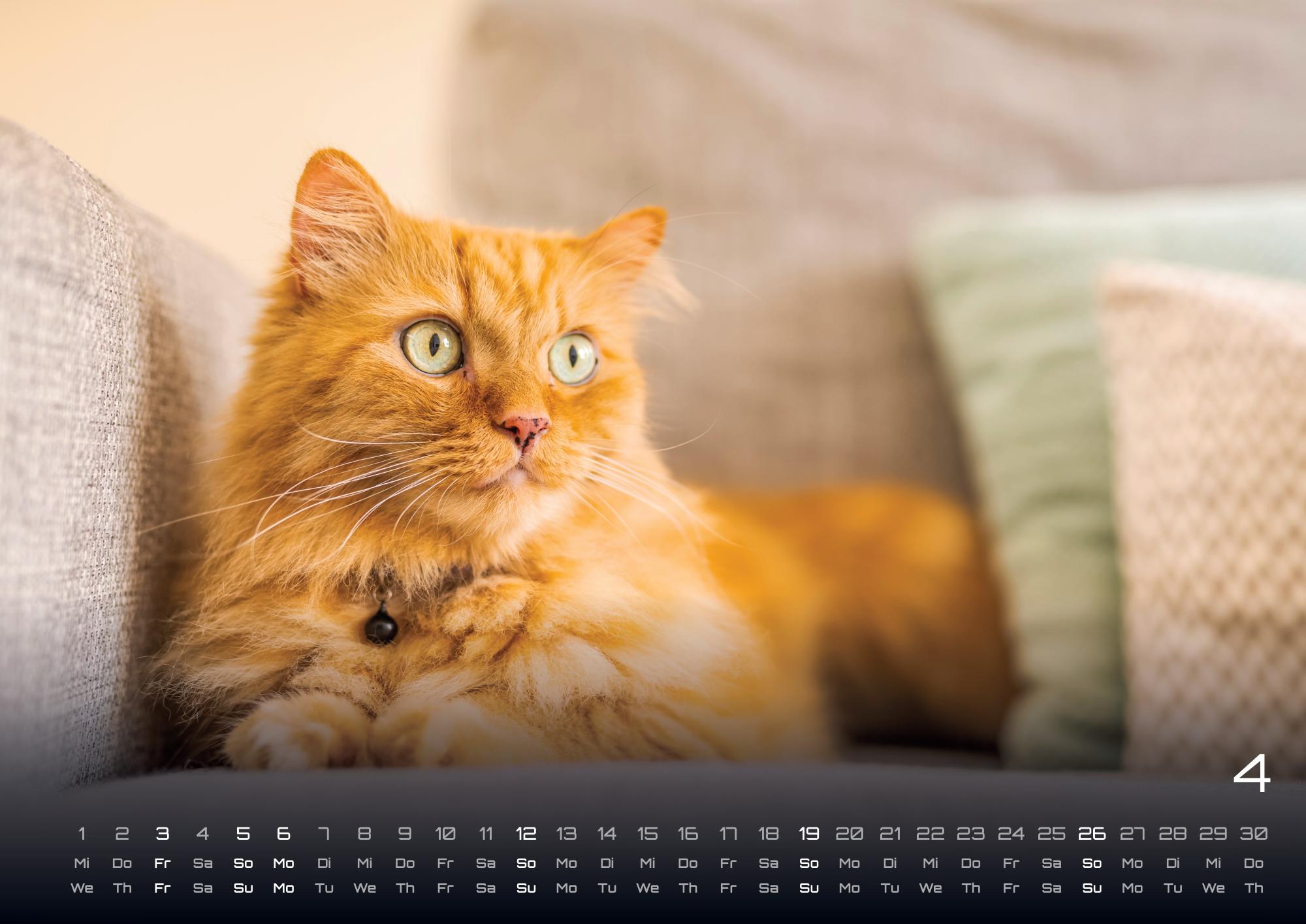 9783986735463_innenansicht_04 9783986735463_innenansicht_04.jpg