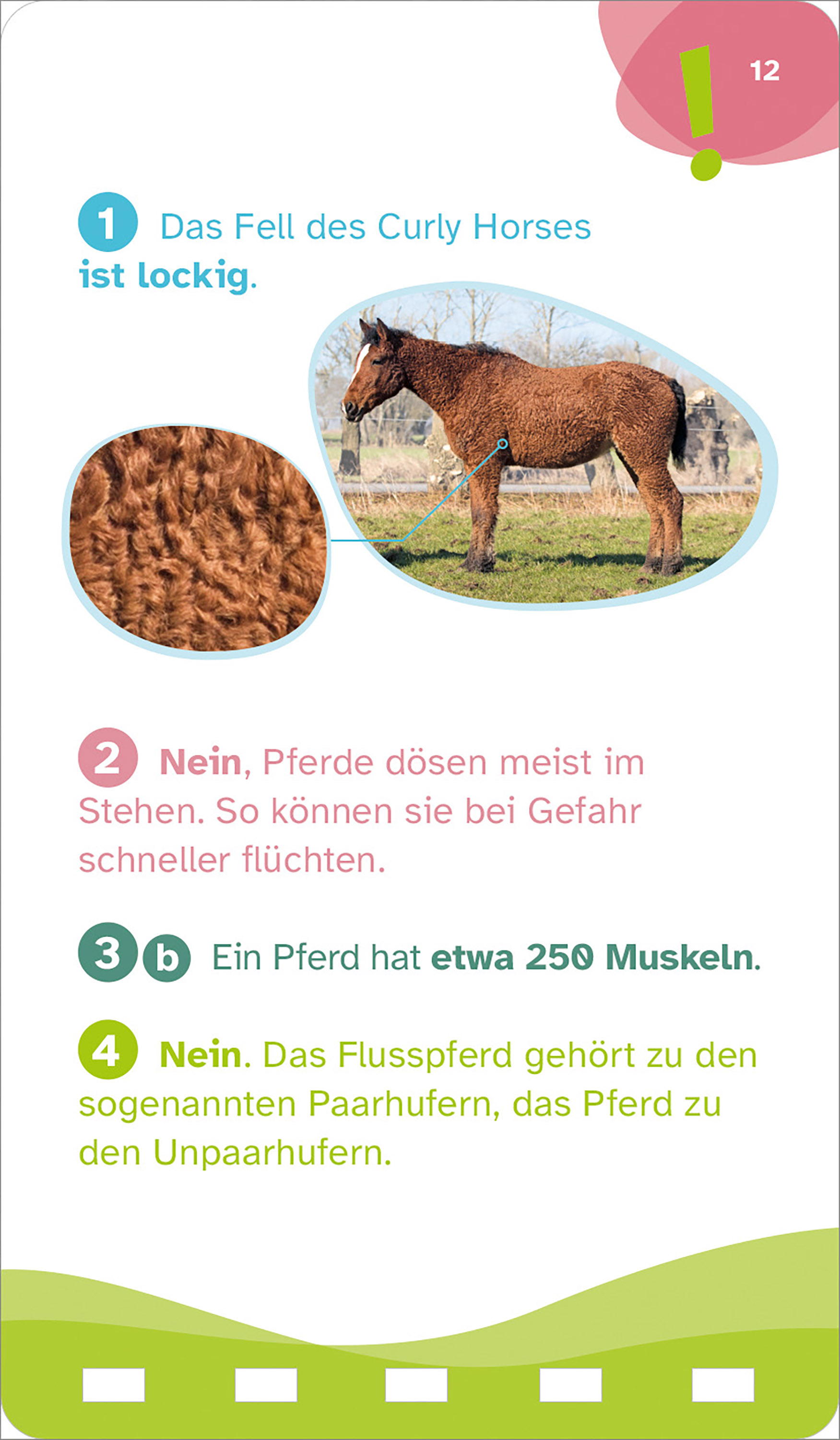 9783788677893_innenansicht_03.jpg