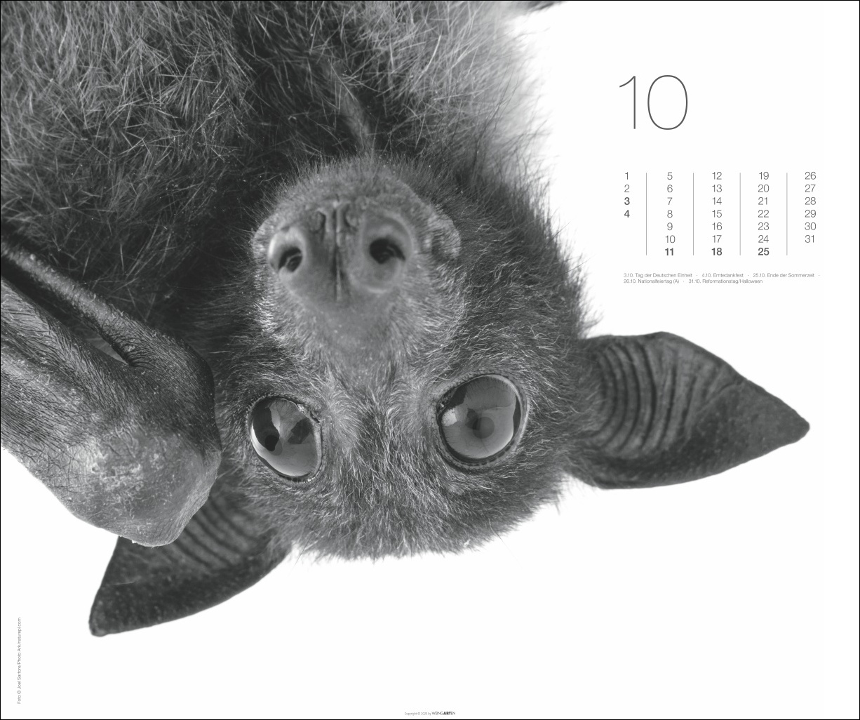 9783839902776_innenansicht_10 9783839902776_innenansicht_10.jpg