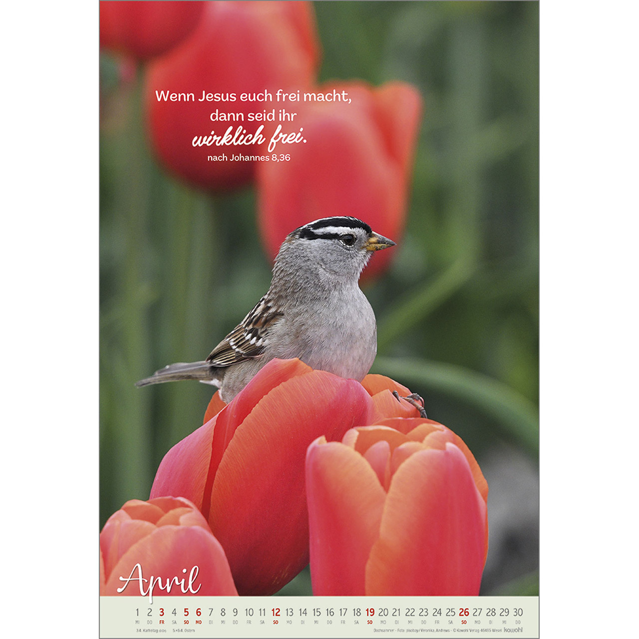 9783754804261_innenansicht_04 9783754804261_innenansicht_04.jpg