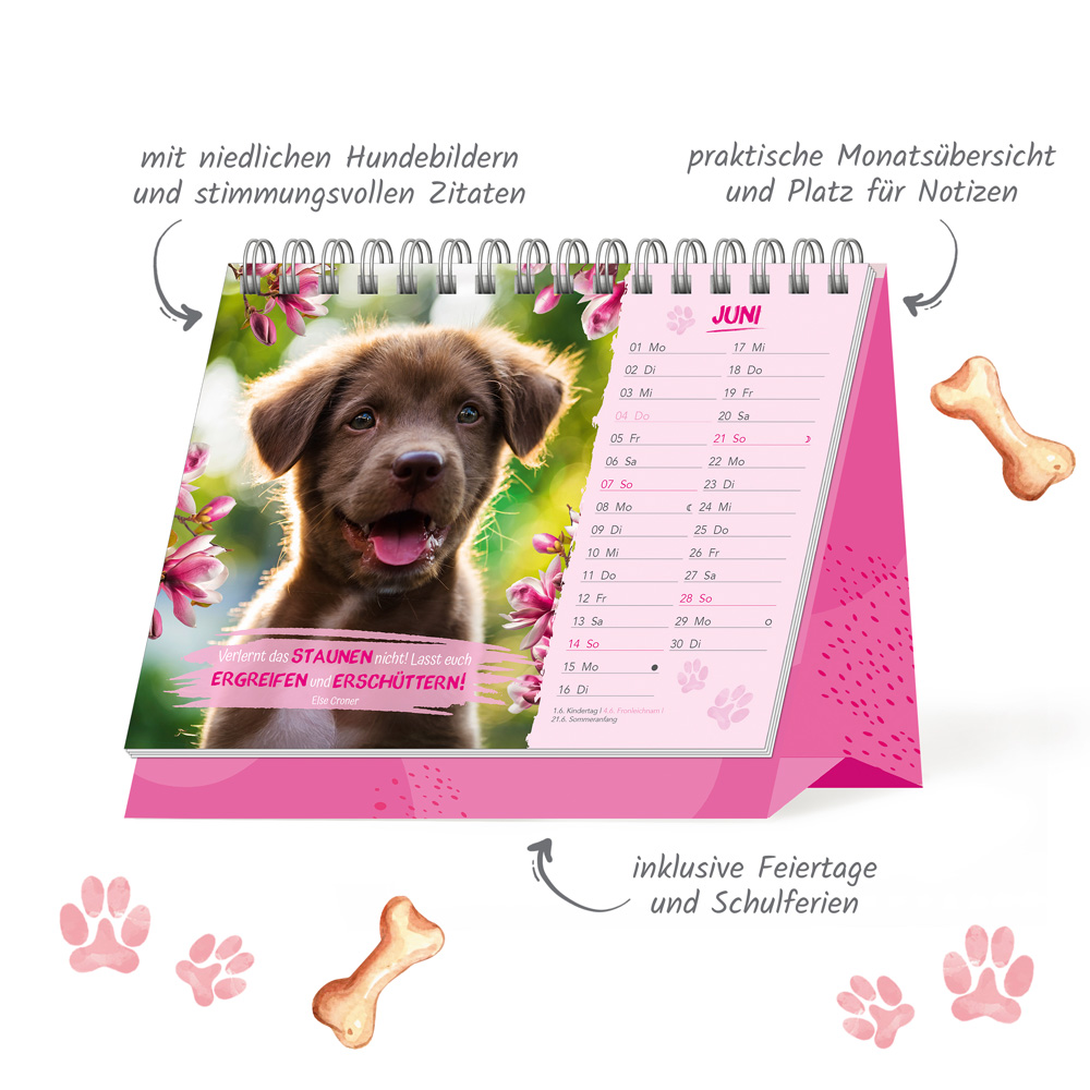 9783988024626_innenansicht_02 9783988024626_innenansicht_02.jpg