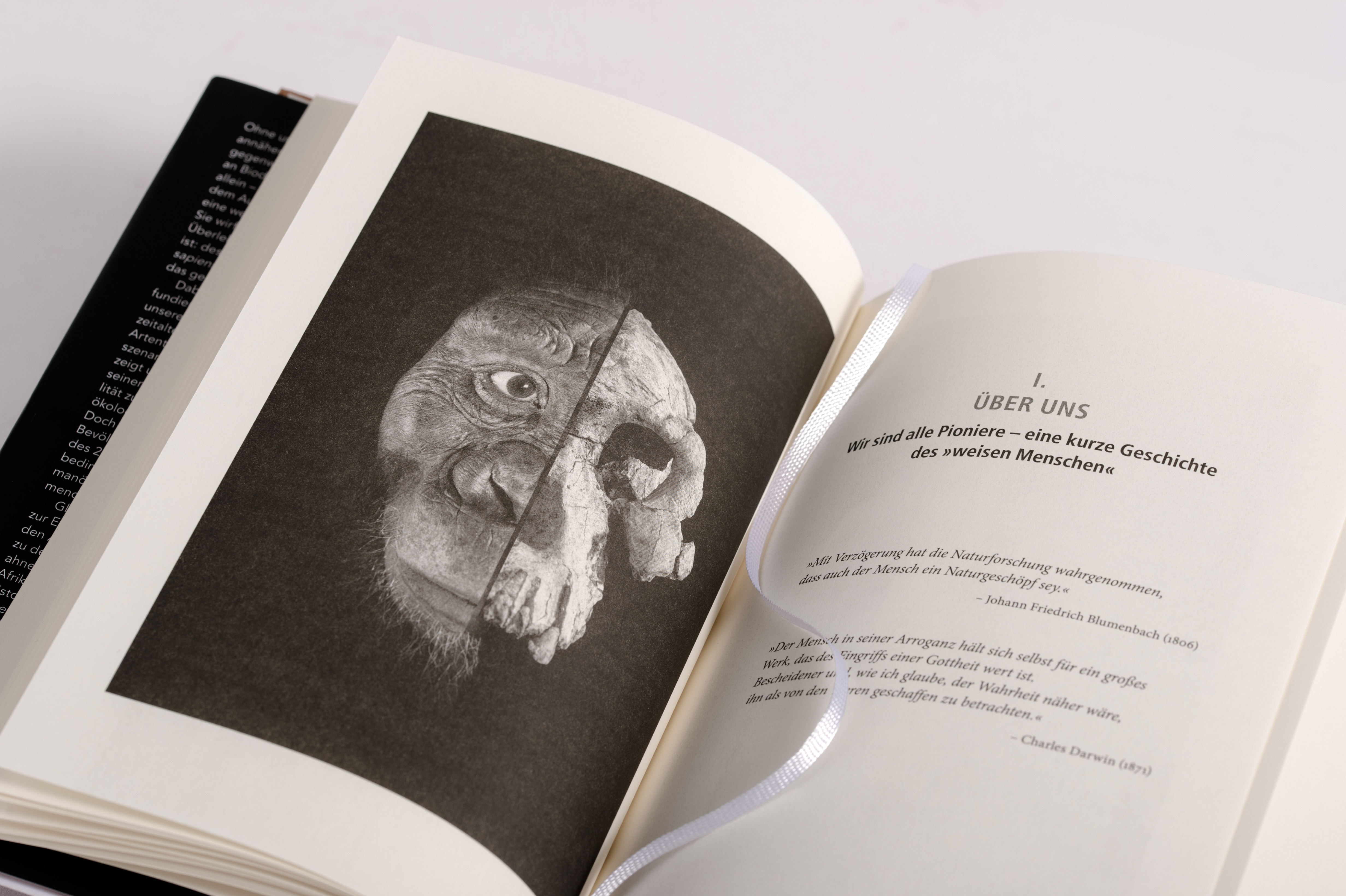 9783570102411_innenansicht_05.jpg 9783570102411_innenansicht_05.jpg