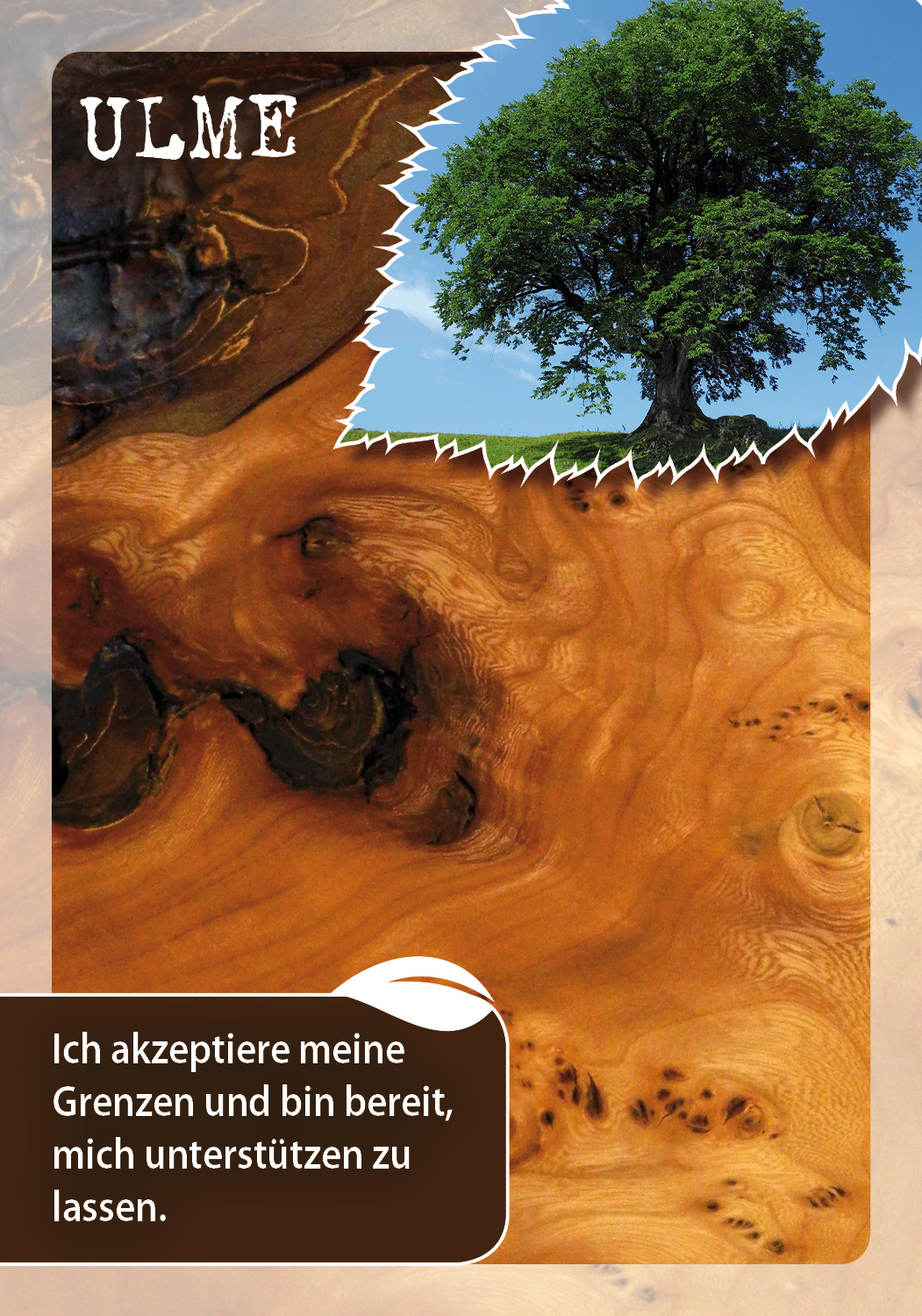 9783843491846_innenansicht_02.jpg