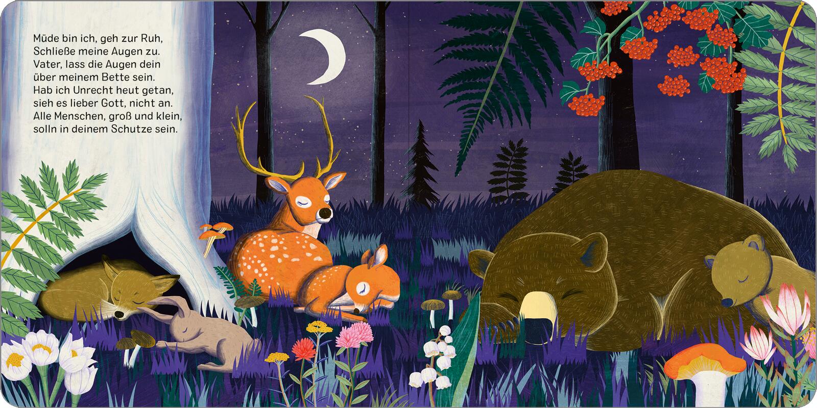 9783845855288_innenansicht_02 9783845855288_innenansicht_02.jpg