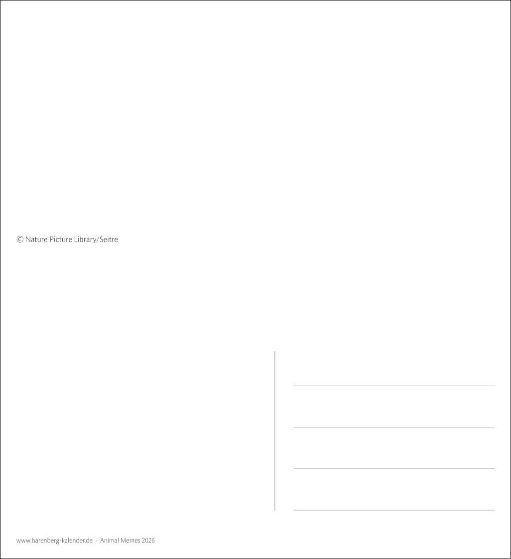 9783840037467_innenansicht_02.jpg