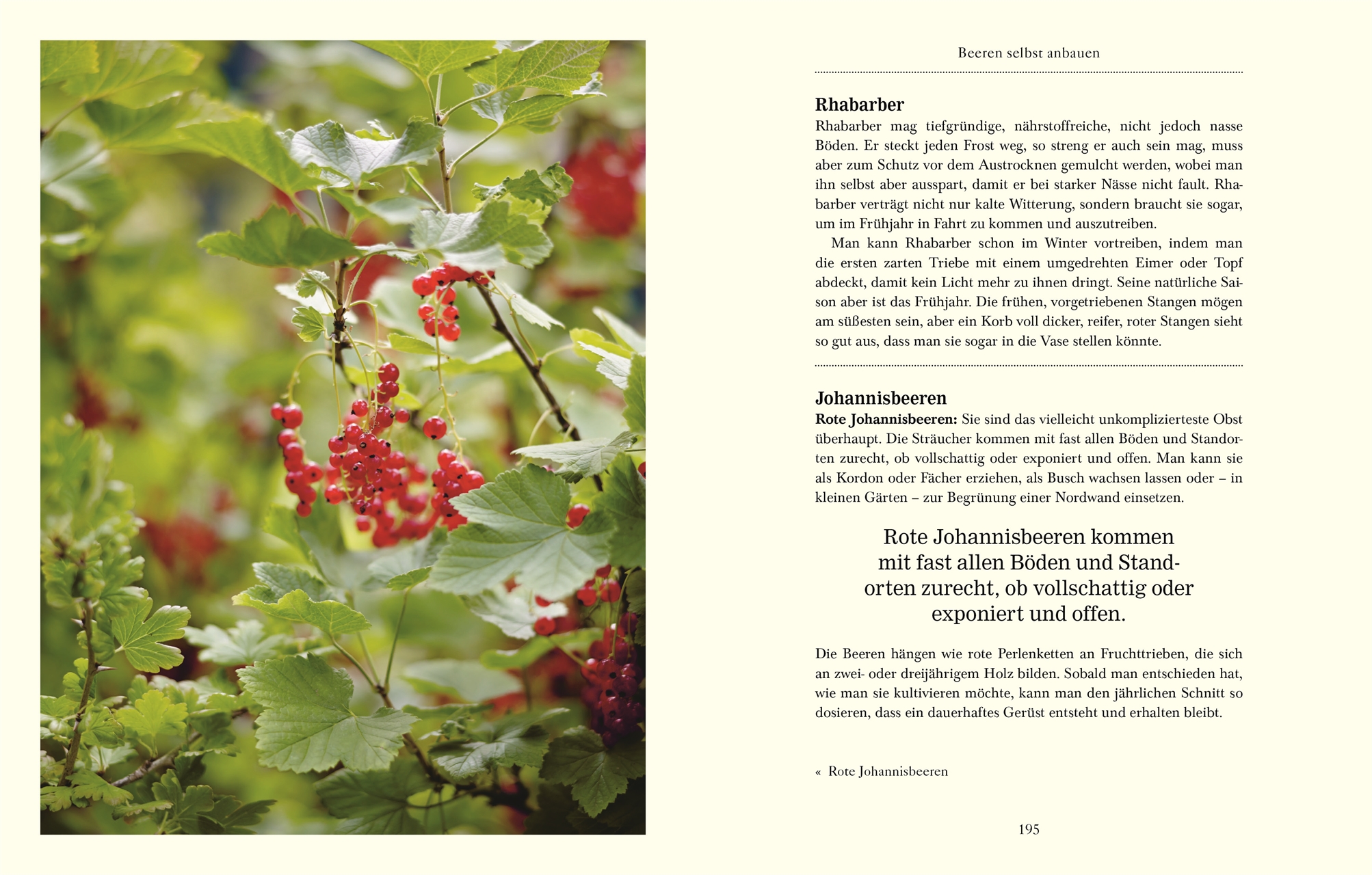 9783831037247_innenansicht_07 9783831037247_innenansicht_07.jpg