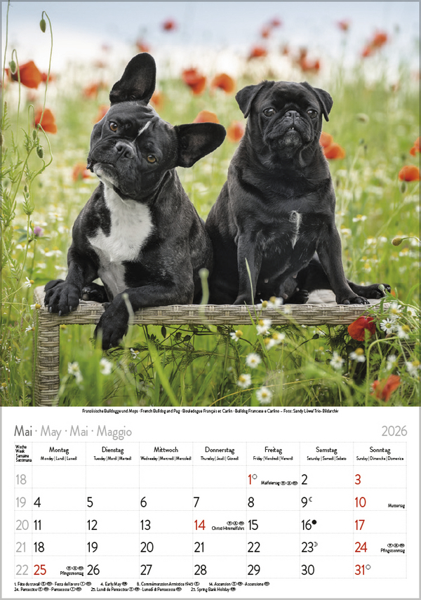 9783731883616_innenansicht_05 9783731883616_innenansicht_05.jpg