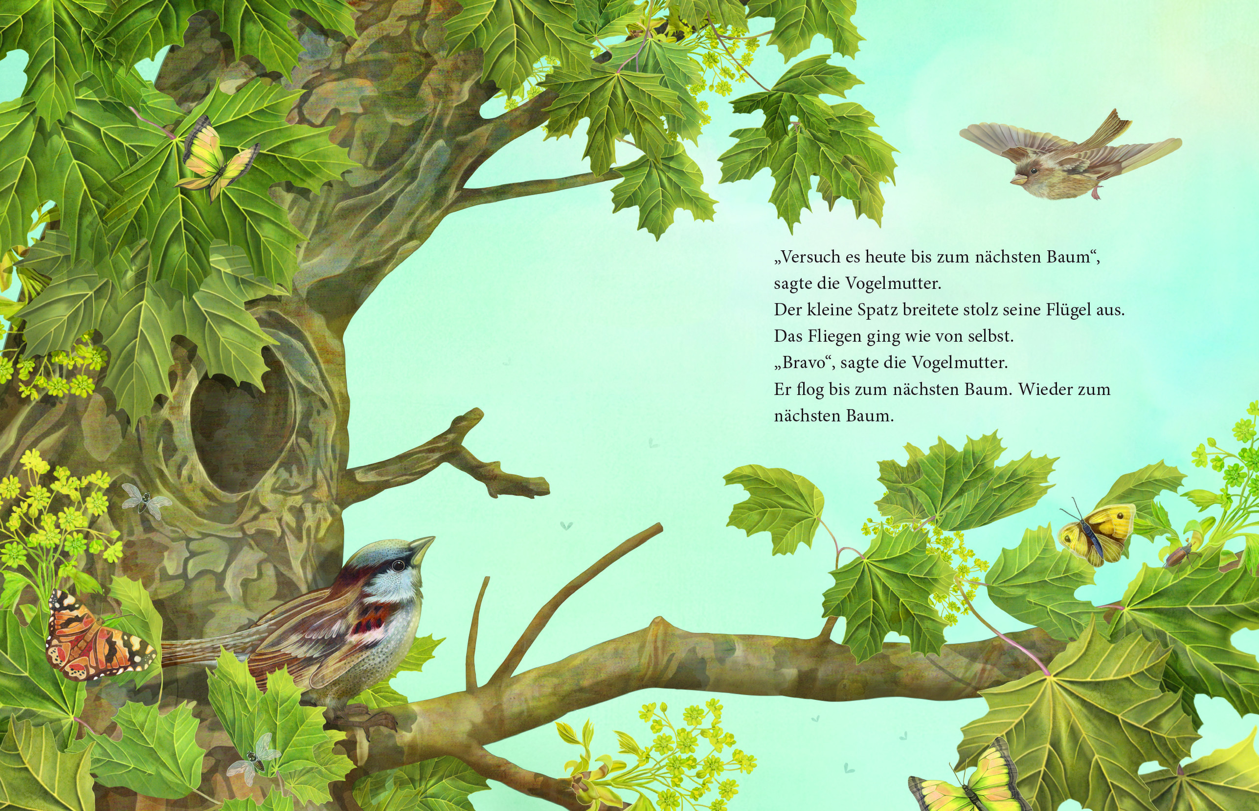 9783707452358_innenansicht_01 9783707452358_innenansicht_01.jpg