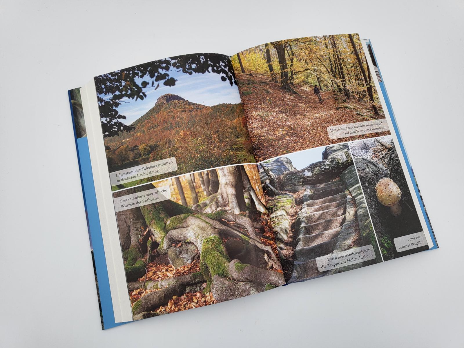 9783890295657_innenansicht_07 9783890295657_innenansicht_07.jpg