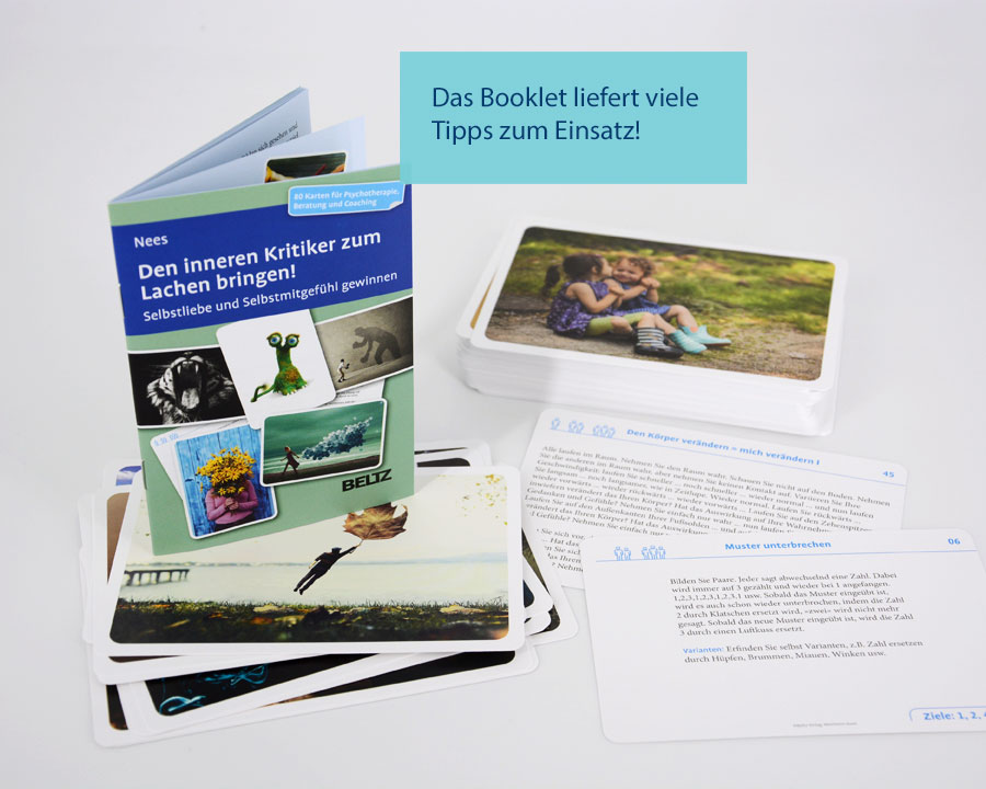 4019172100803_innenansicht_03.jpg