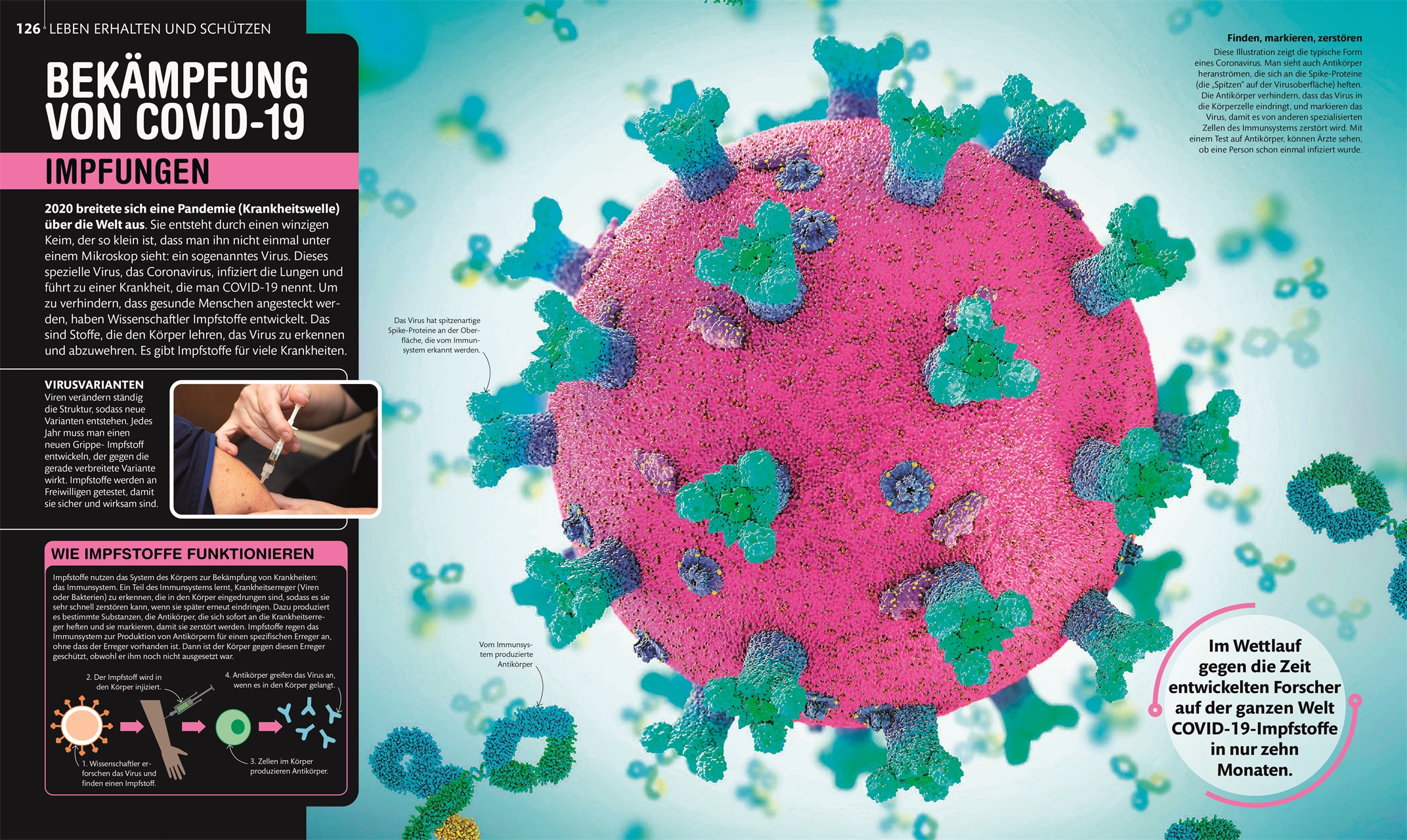 9783831043729_innenansicht_06 9783831043729_innenansicht_06.jpg