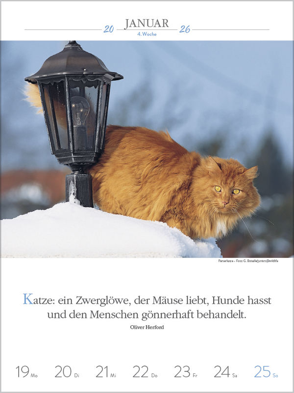 9783731884354_innenansicht_01.jpg