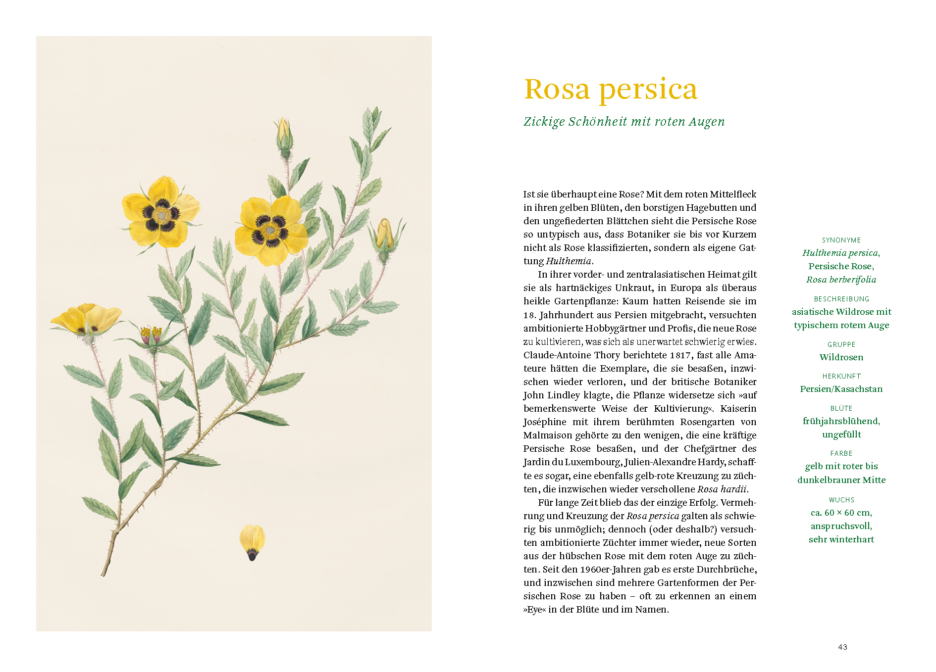 9783832169268_innenansicht_03 9783832169268_innenansicht_03.jpg