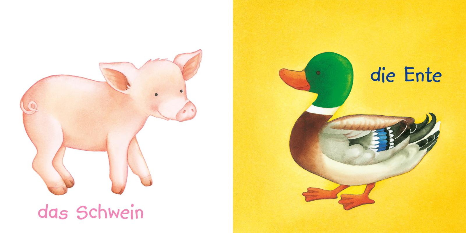 9783551051462_innenansicht_01 9783551051462_innenansicht_01.jpg