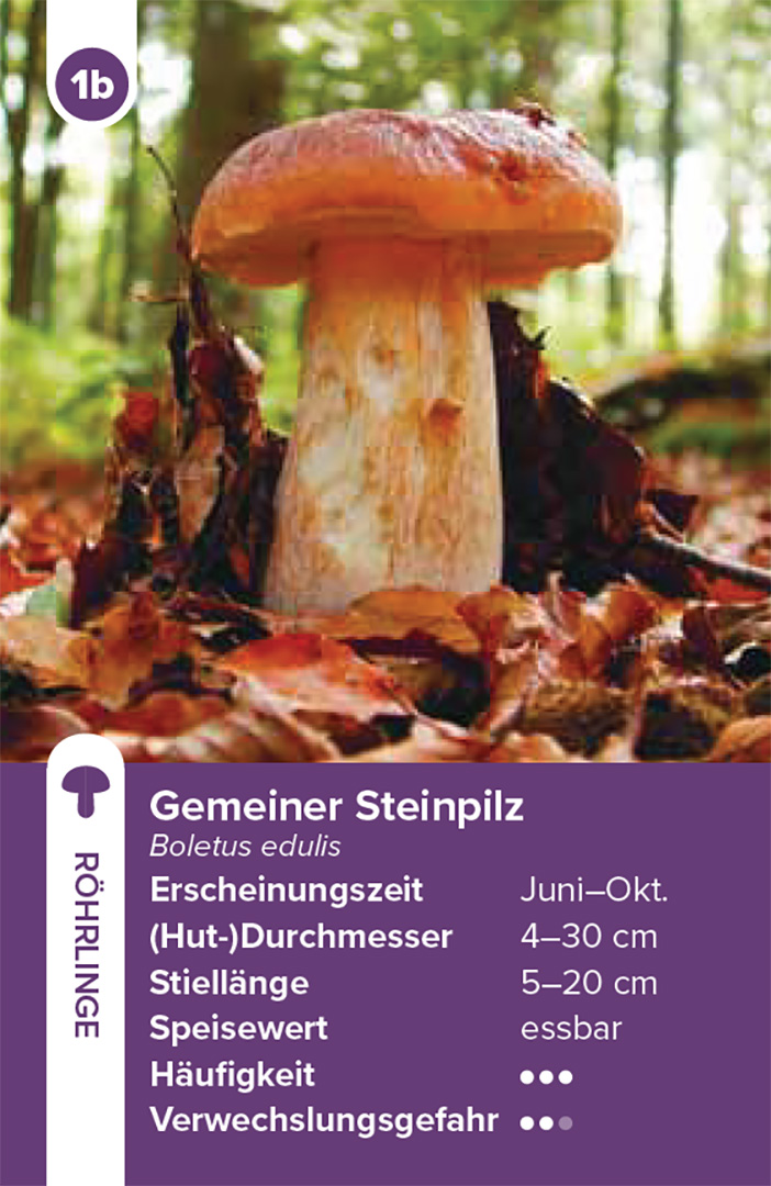 9783258800042_innenansicht_07.jpg