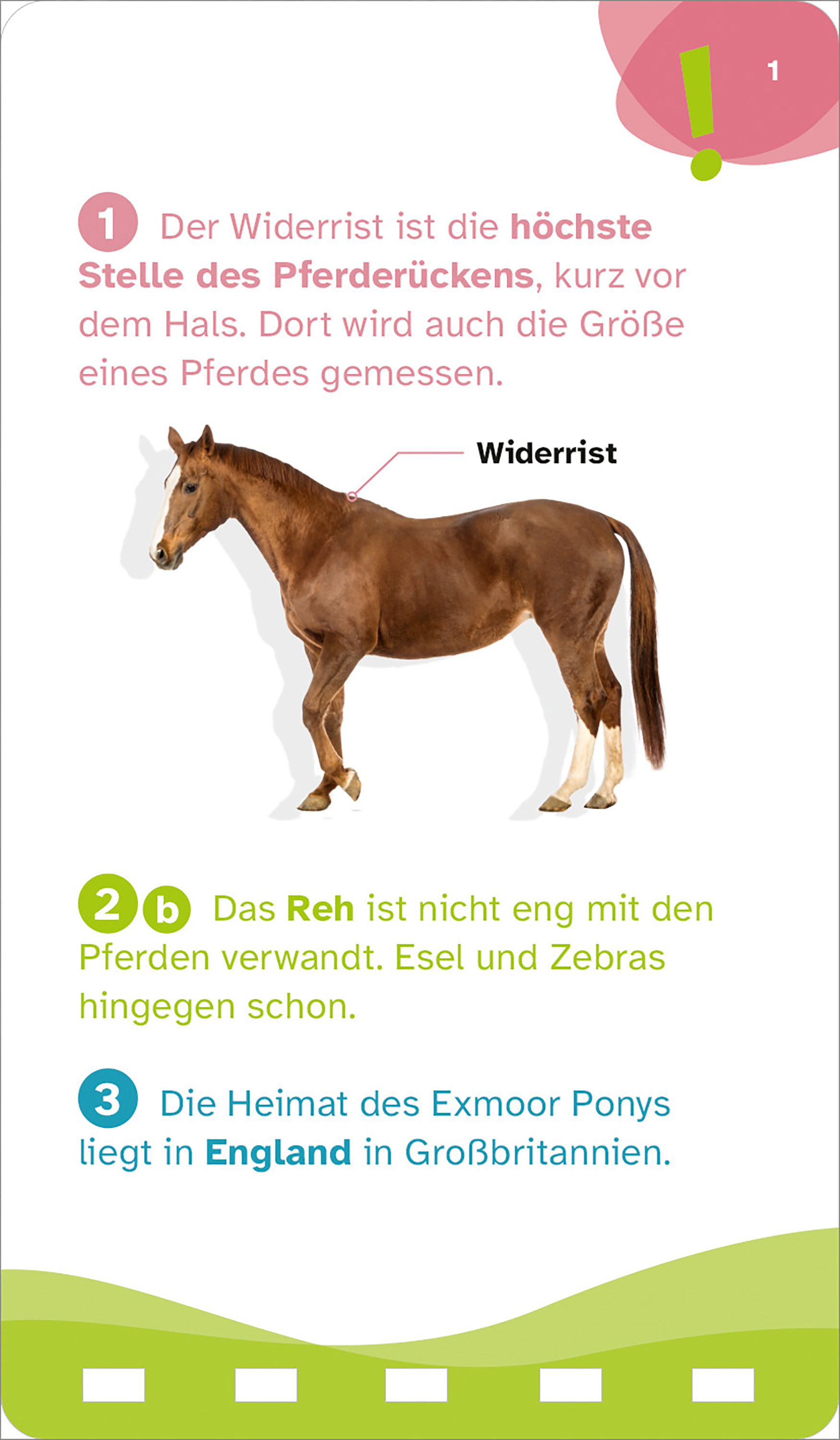 9783788677893_innenansicht_01.jpg