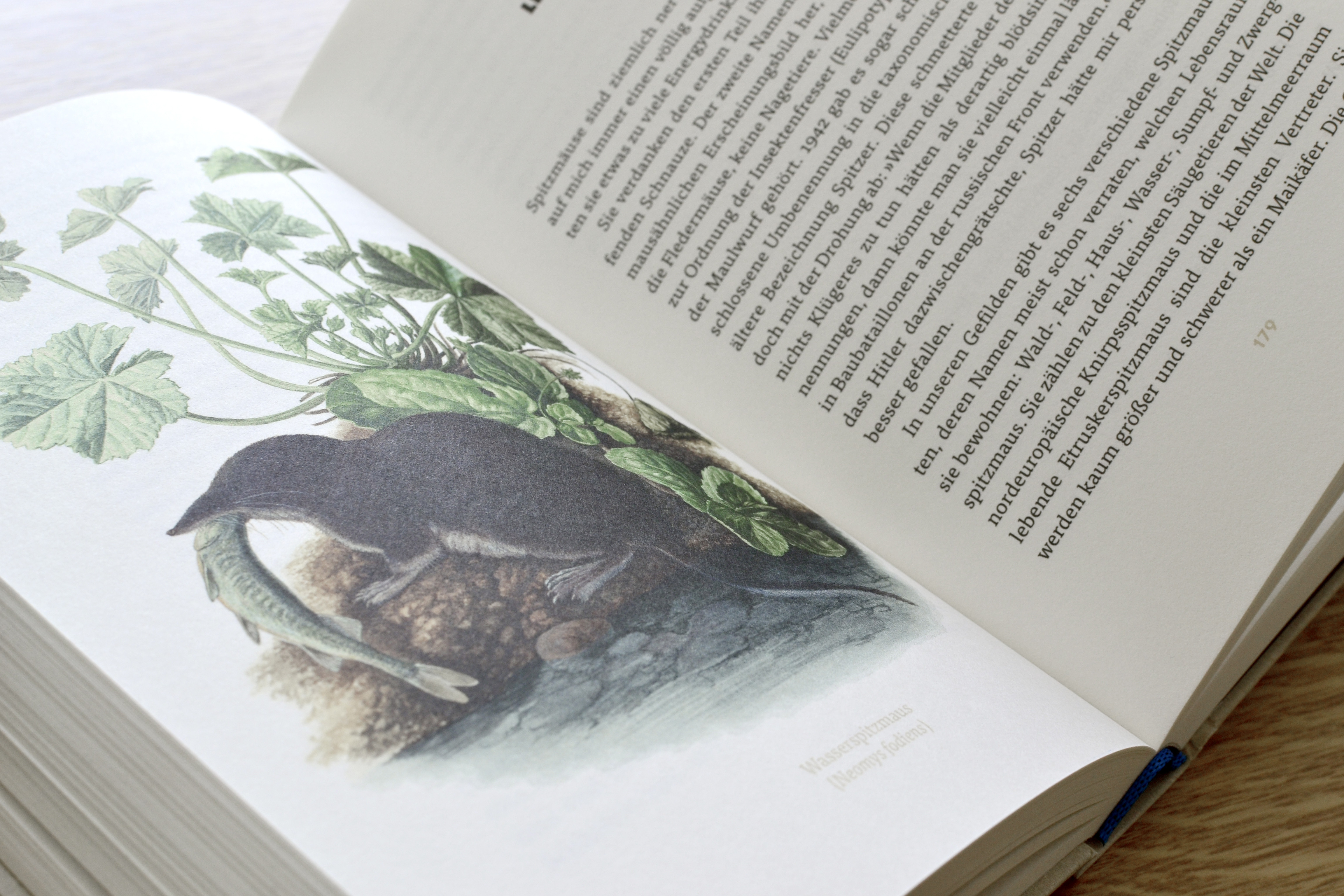 9783847900658_innenansicht_12.jpg 9783847900658_innenansicht_12.jpg