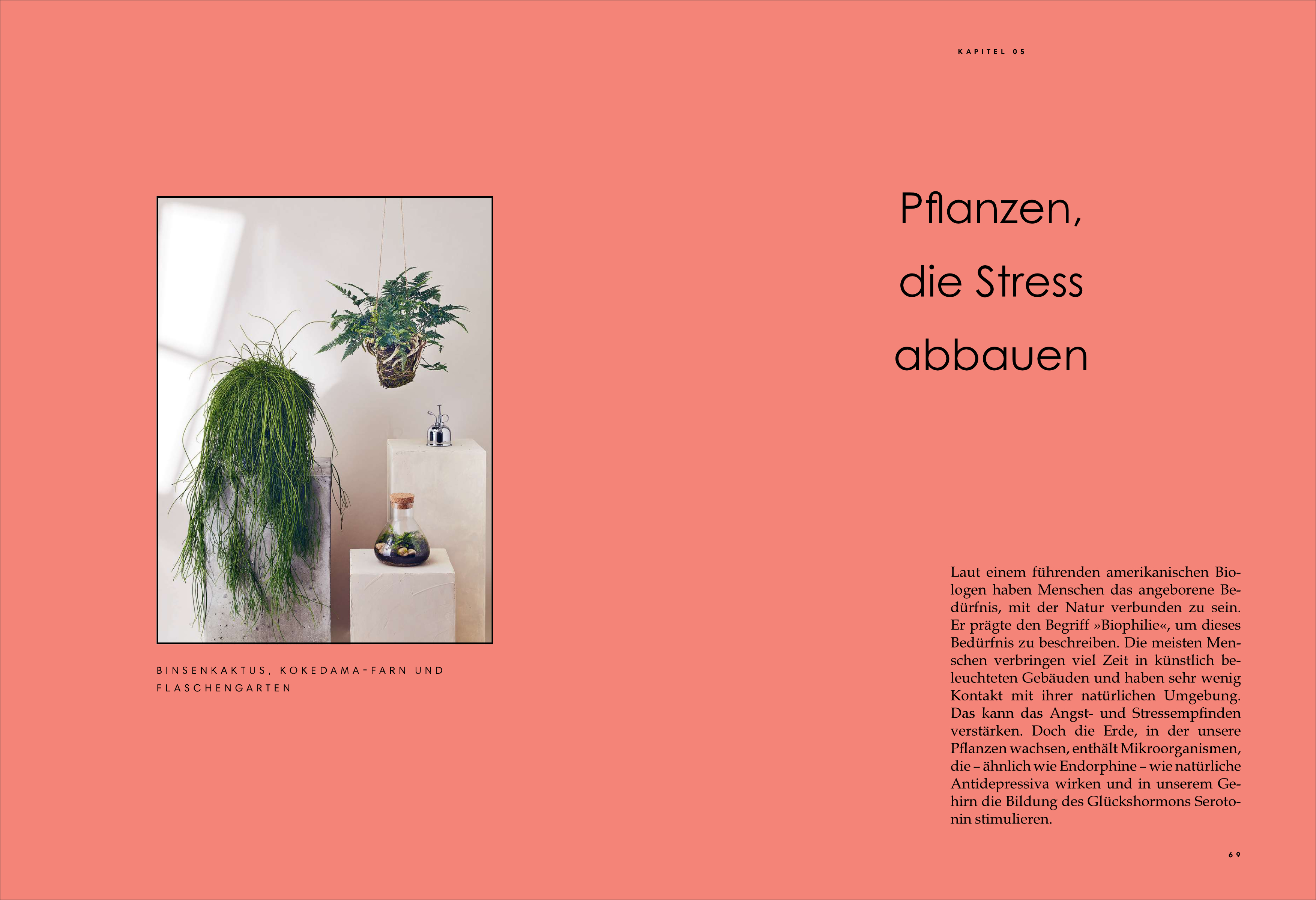 9783424153712_innenansicht_03.jpg