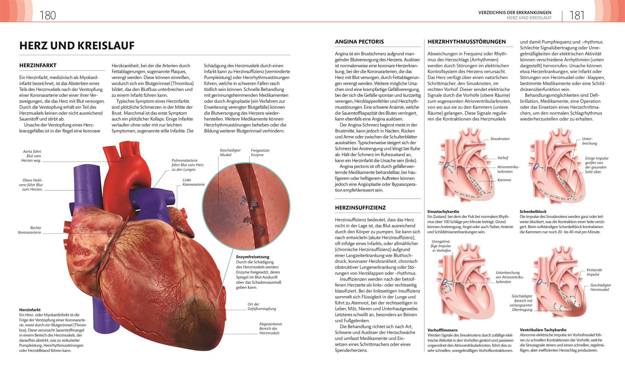9783831046911_innenansicht_07 9783831046911_innenansicht_07.jpg