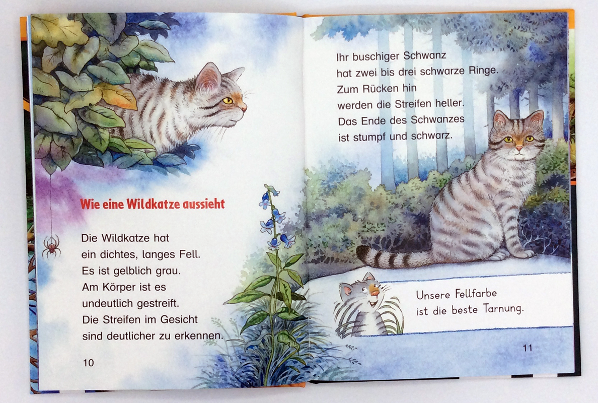 9783401715735_innenansicht_05.jpg