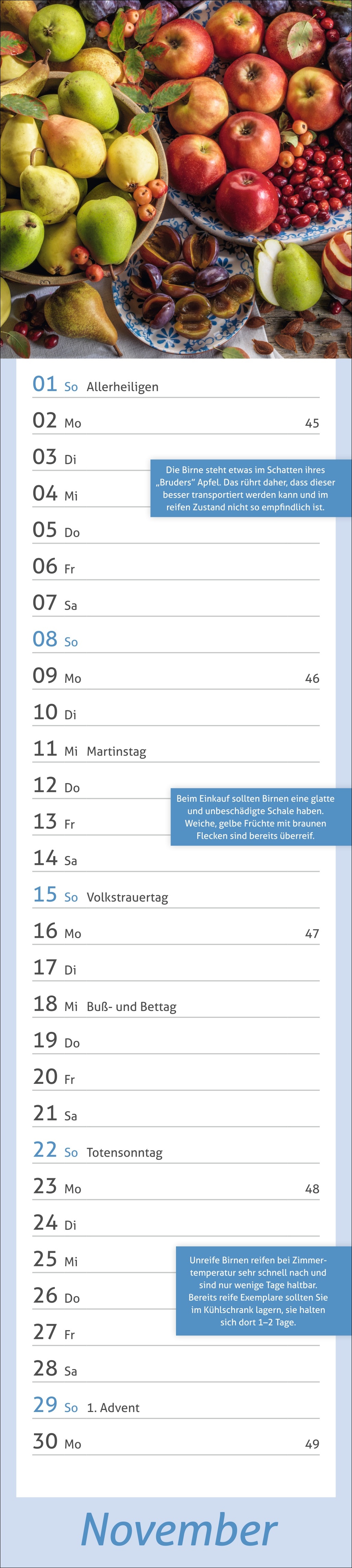 9783756412778_innenansicht_11.jpg