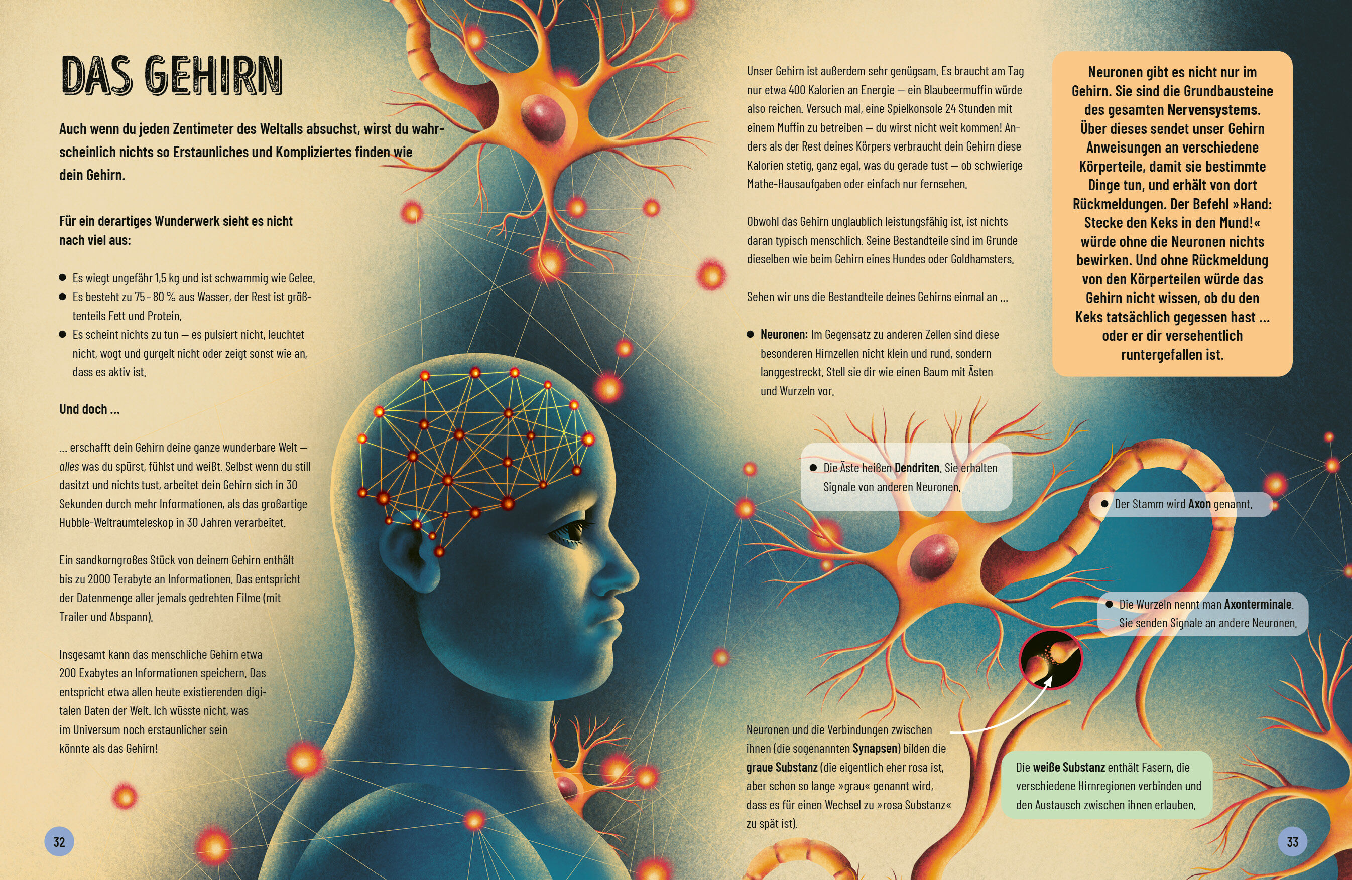 9783570181270_innenansicht_04 9783570181270_innenansicht_04.jpg