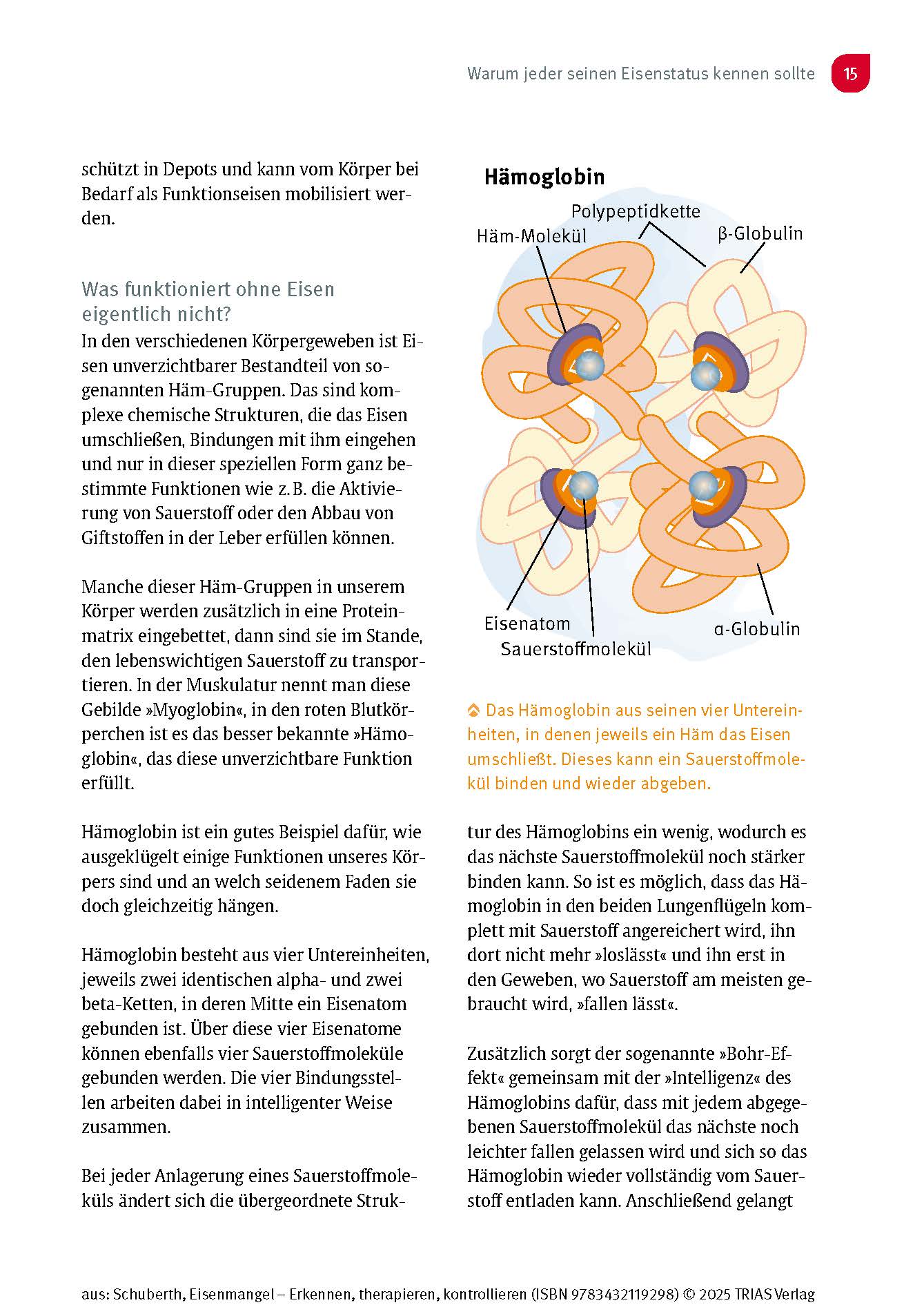 9783432119298_innenansicht_09.jpg