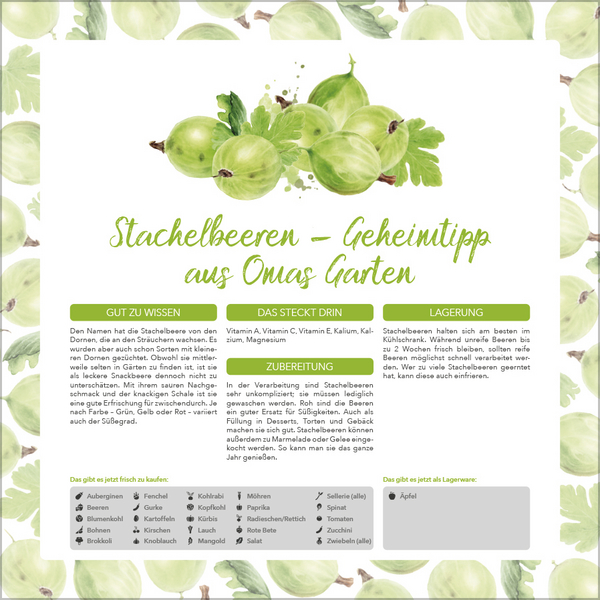 9783731886563_innenansicht_07.jpg