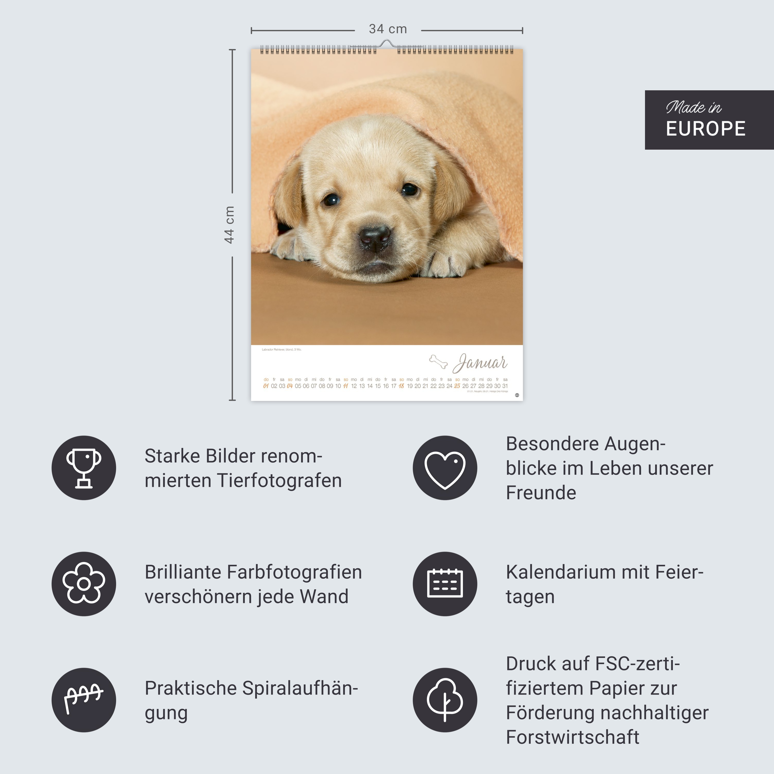 9783756410811_innenansicht_13.jpg