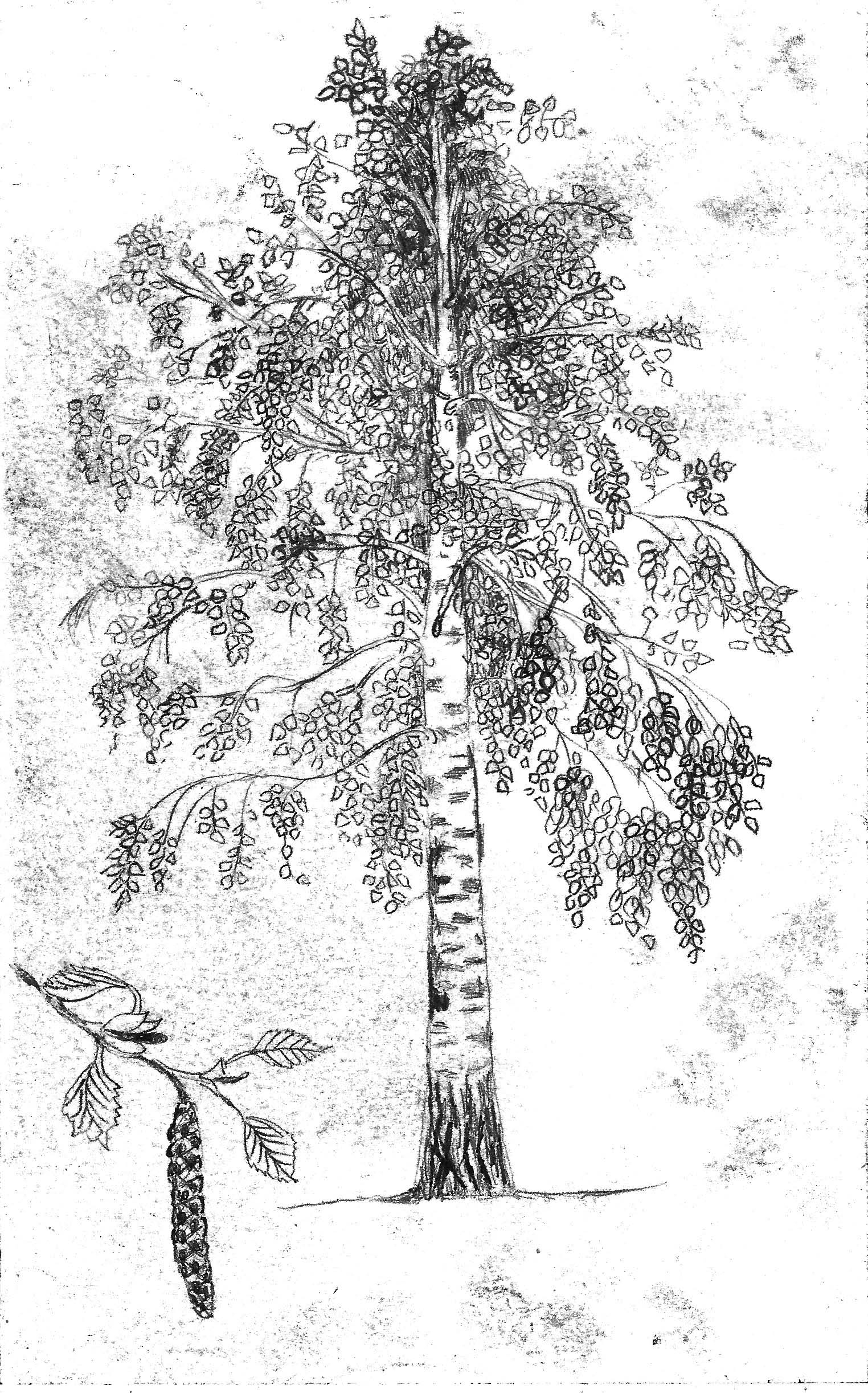 9783990591307_produktbild_03 9783990591307_produktbild_03.jpg