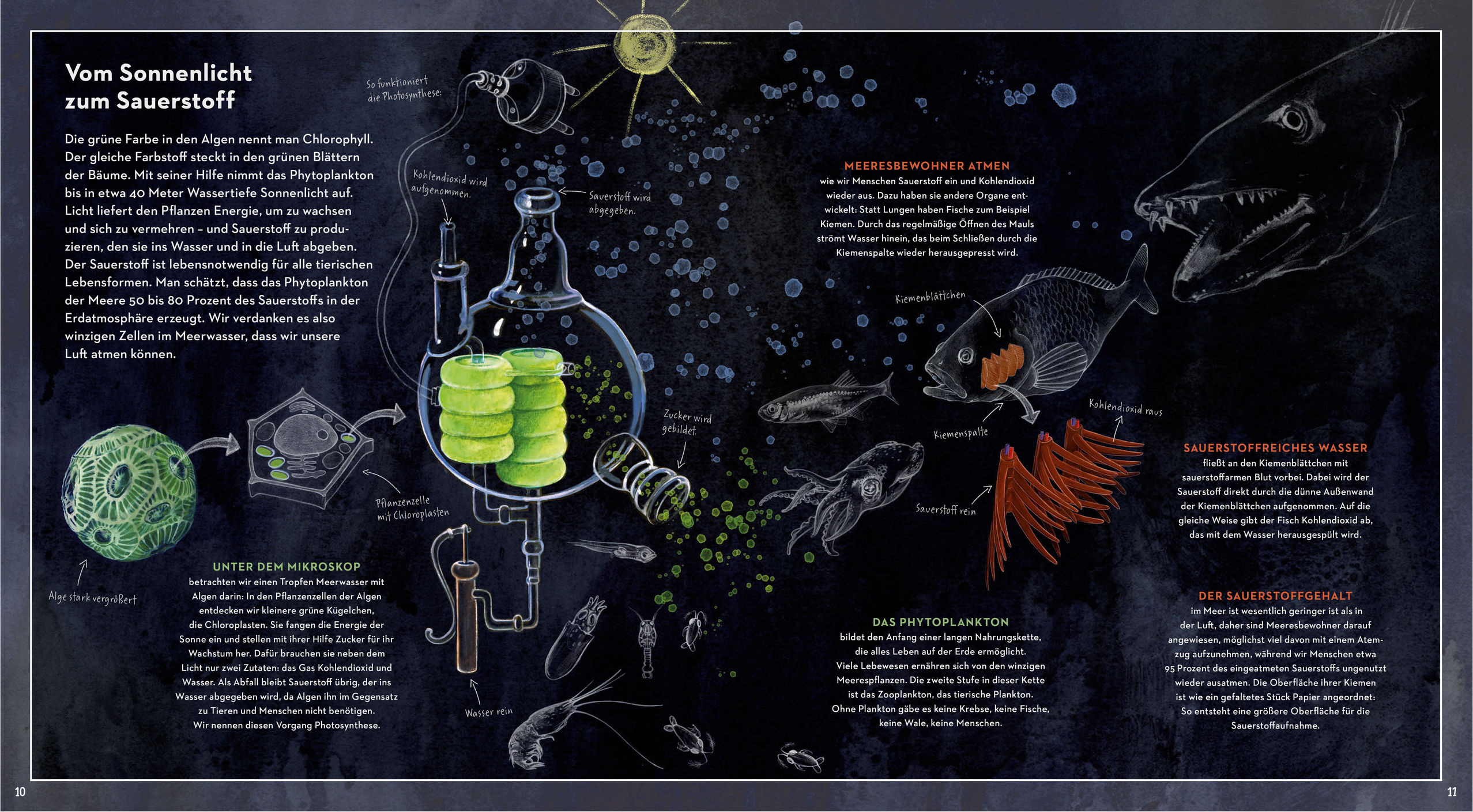 9783791373898_innenansicht_01 9783791373898_innenansicht_01.jpg