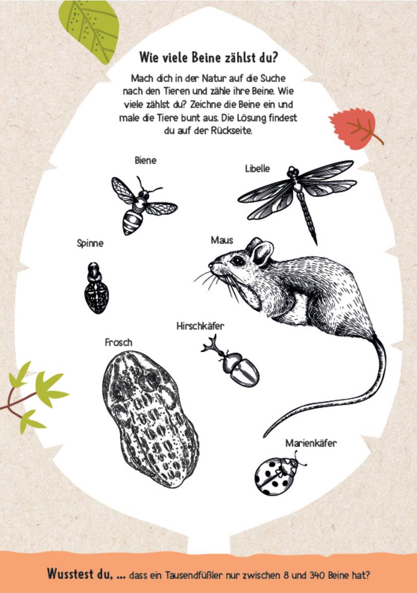 9783987640834_innenansicht_03 9783987640834_innenansicht_03.jpg