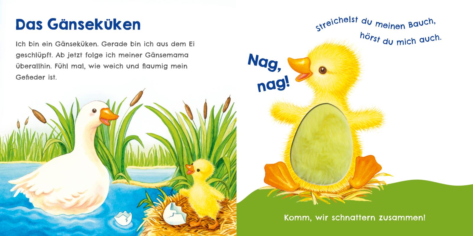 9783551254009_innenansicht_05.jpg